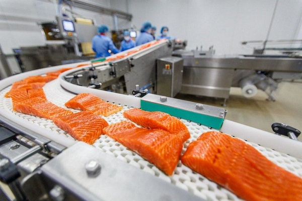Sea Food Processing Technology