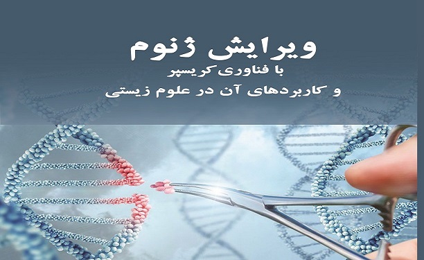 معرفی کتاب 