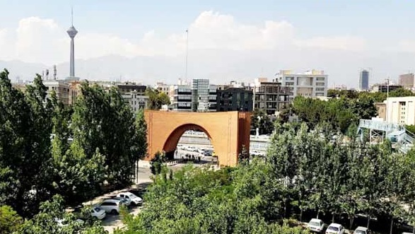 تشریح اقدامات صورت گرفته برای بازسازی فضای سبز و قطع درختان پوسیده دانشگاه