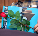 اطلاعیه مدیریت‌های سیاست‌گذاری و  امور فرهنگی و اجتماعی؛ ویژه دانشجویان نوورود